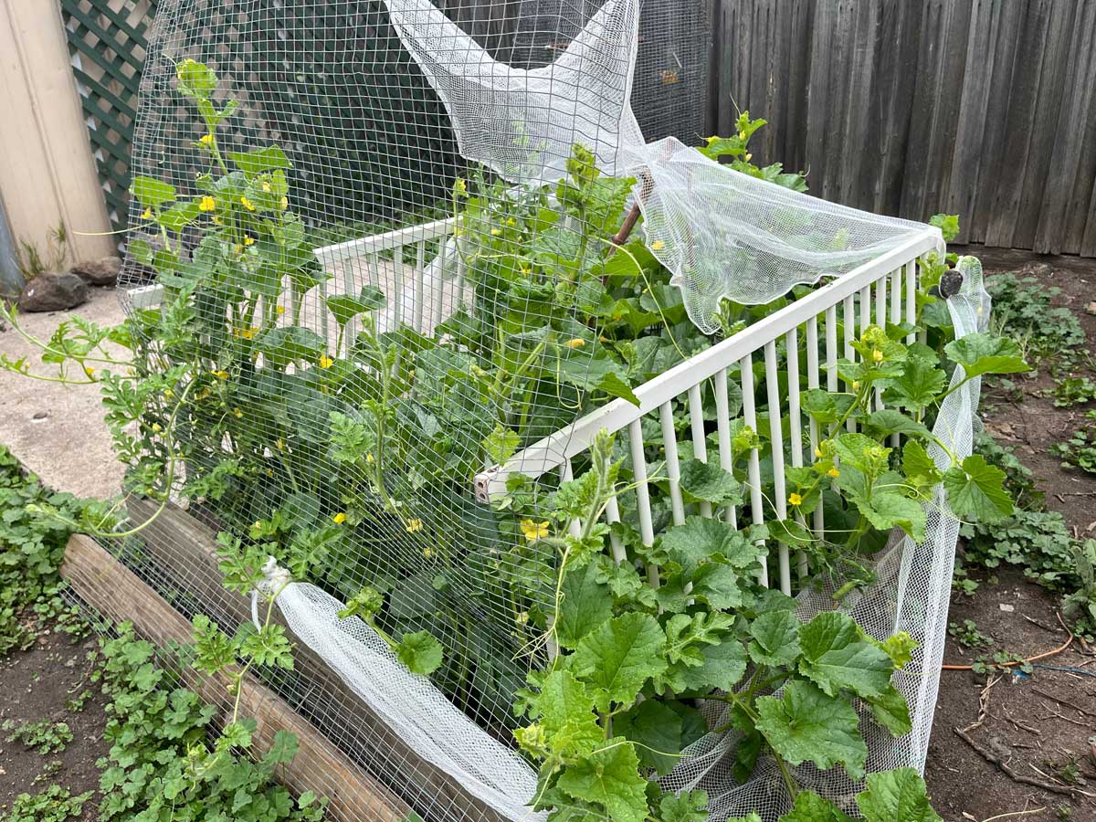 ohrada z postylky Zahradní ohrada a opora pro rostliny vyrobená z bočnic postýlky