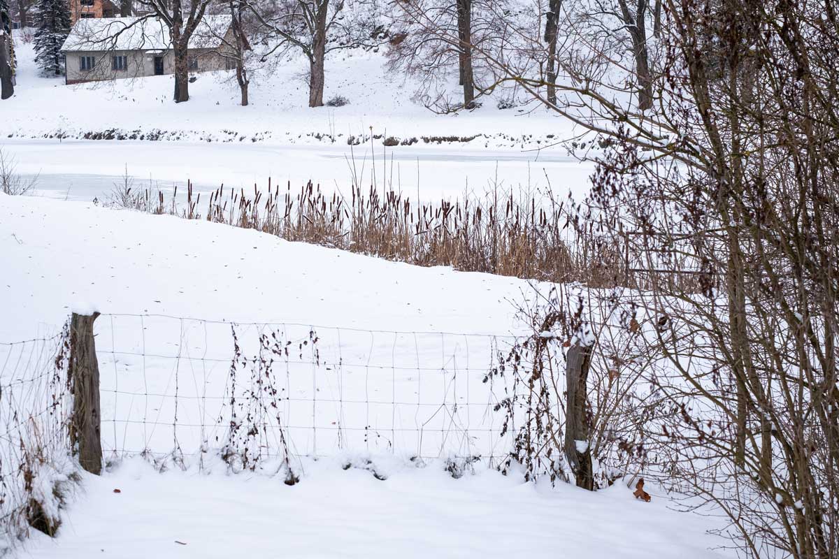 V méně exponované části zvolili oplocení z drátěného pletiva a dřevěných sloupků. Záměrem bylo co nejméně narušit malebný výhled do krajiny a na blízký rybník. Výhoda tohoto řešení spočívá v tom, že i když má zahrada vymezené své hranice, plot ji opticky neodčleňuje od okolí. 