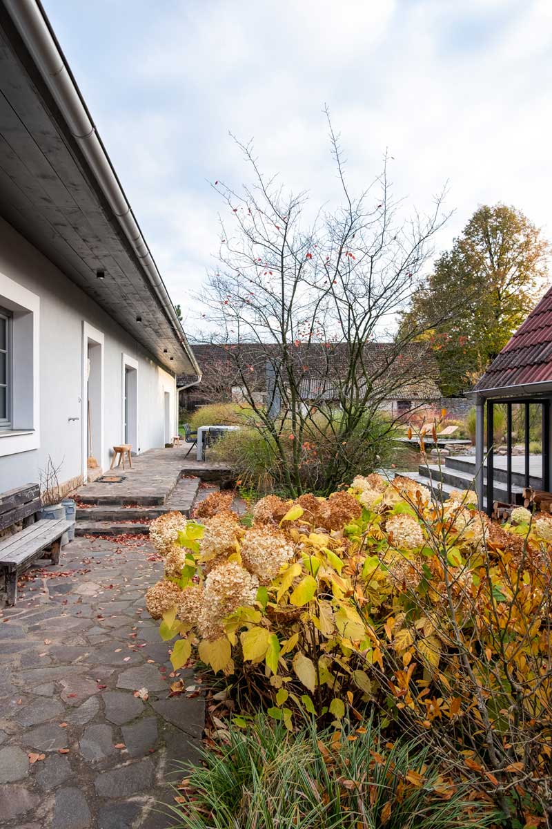 predzahradka u vstupu Předzahrádka u vstupu do domu s kamenným chodníkem a podzimní výsadbou trvalek a keřů.