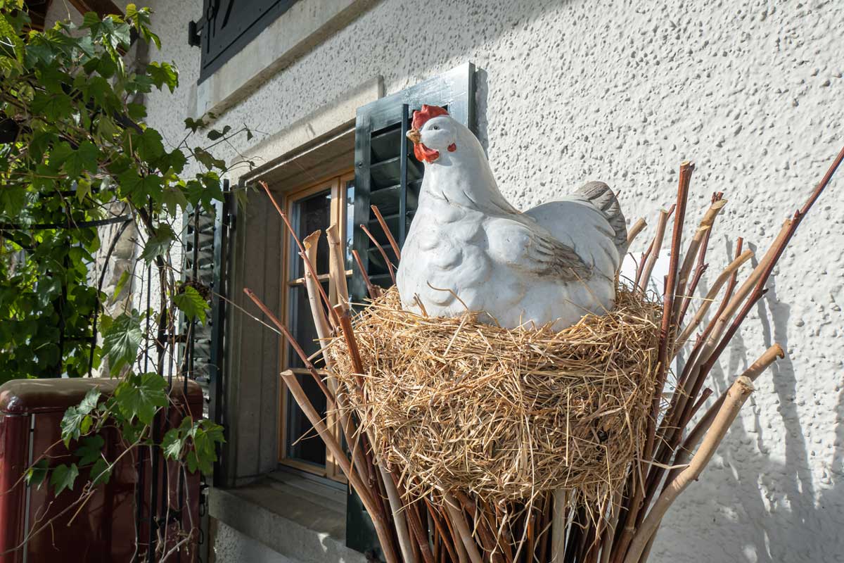 Vlastní vejce z paneláku? Geniální způsob, jak ušetřit, nebo nejrychlejší cesta k totální válce se sousedy