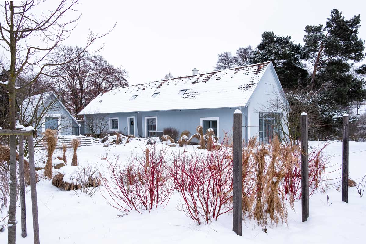 zahrada v zime Celkový pohled na venkovskou zahradu v zimě, kde výsadby a materiály propojují dům s okolní krajinou.