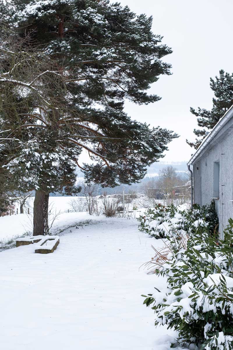 Stinná zadní část zahrady působí v zimě klidně a uzavřeně a nabízí místo k tichému rozjímání.