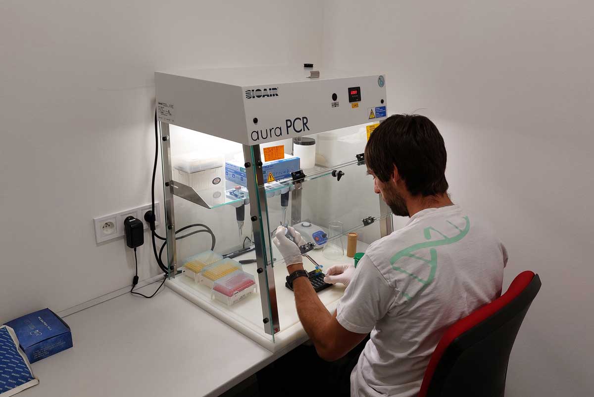 Prace v molekularni laboratori