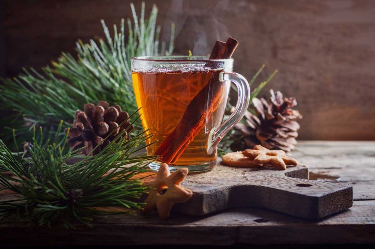Čaj z jehličí připravený z čerstvých jehličnanů jako tradiční zimní nápoj pro podporu dýchacích cest.