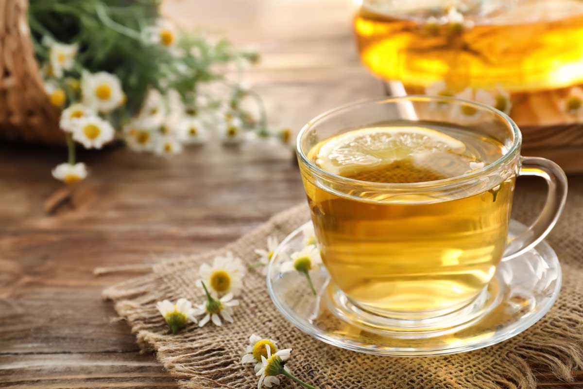 Heřmánkový čaj připravený jako přírodní lázeň pro semínka, která podporuje klíčení a chrání je před plísněmi.