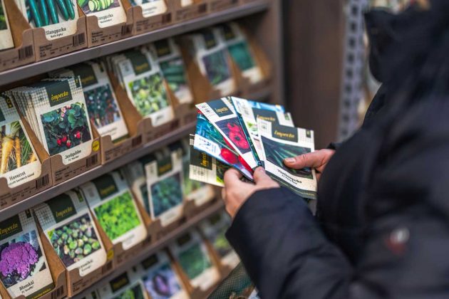 Novoroční předsevzetí pro zahrádkáře, která dávají smysl i v únoru. Méně semínek, lepší výsledky