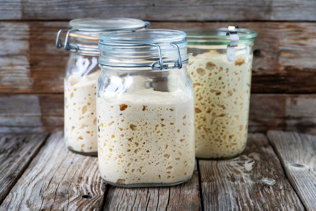 kvasek Domácí kvásek ve sklenicích při různých fázích kvašení, přírodní fermentace mouky a vody