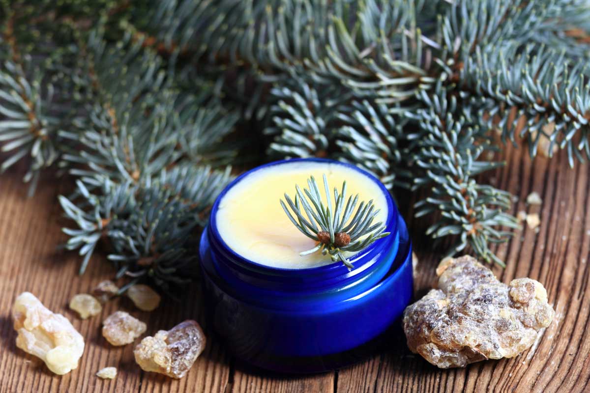 Domácí mast z pryskyřice a jehličí připravená s olejem a včelím voskem pro péči o pokožku.