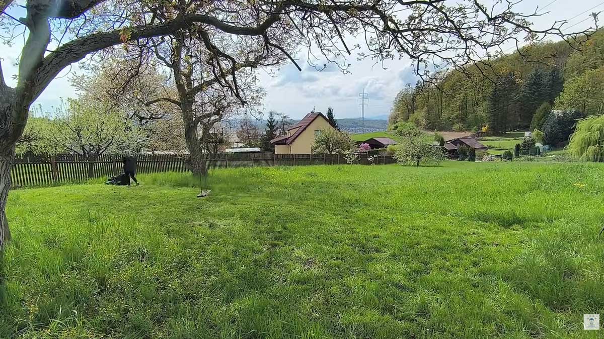 Postupné kosení velké plochy pomohlo odhalit skutečný potenciál zahrady.