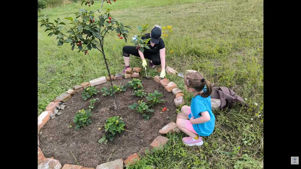 První jahody byly symbolem toho, že zahrada už není jen projektem, ale skutečně začala žít.