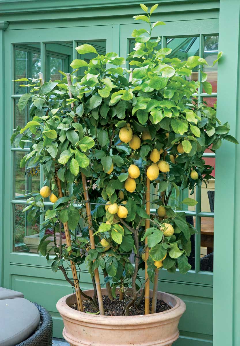 01 shutterstock 1305863353