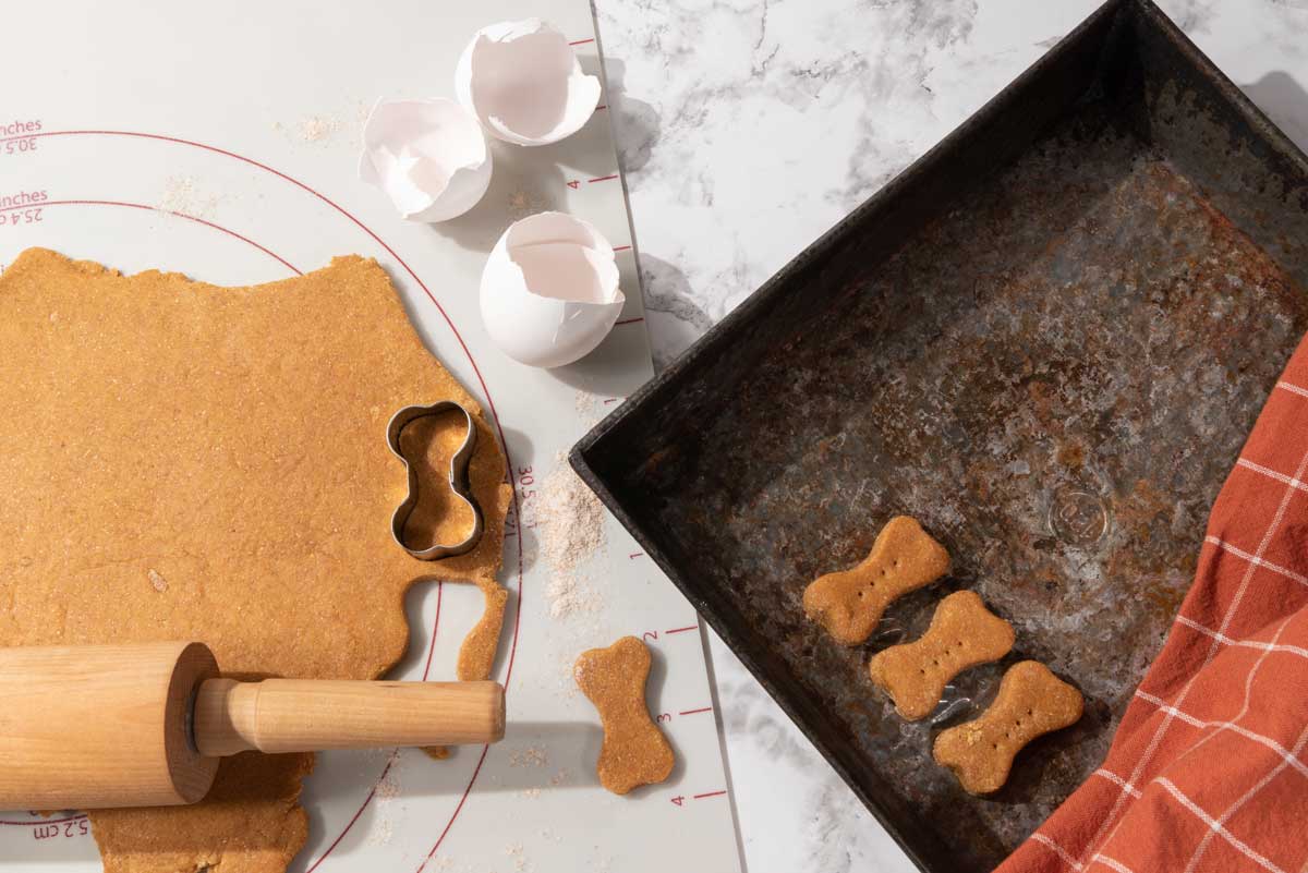 domaci matove pamlsky Domácí sýrové sušenky pro psy ve tvaru tlapek a kostí