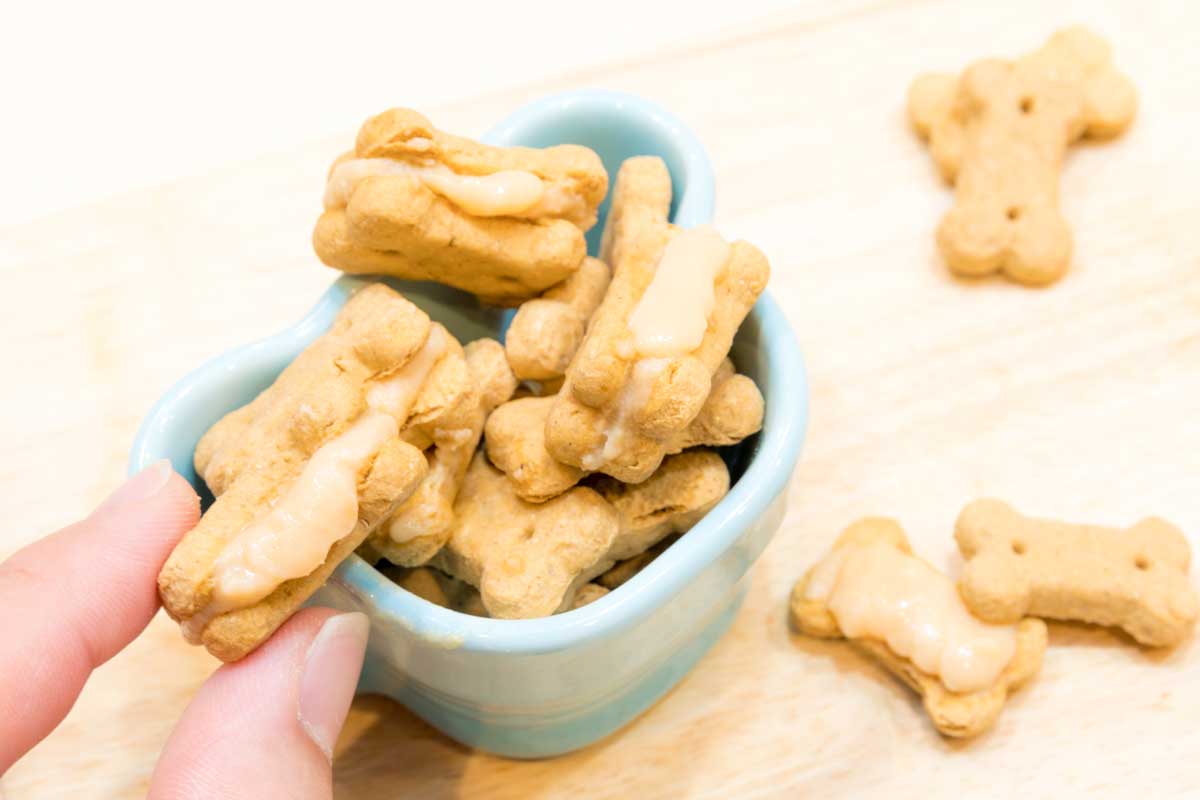 kosticky arasidove maslo Domácí psí sušenky ve tvaru kostí s polevou z arašídového másla