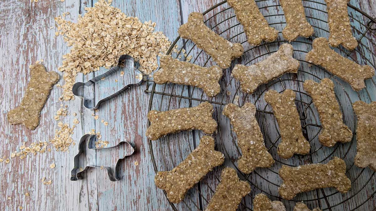 matove kosticky Domácí psí sušenky z ovesných vloček ve tvaru kostí