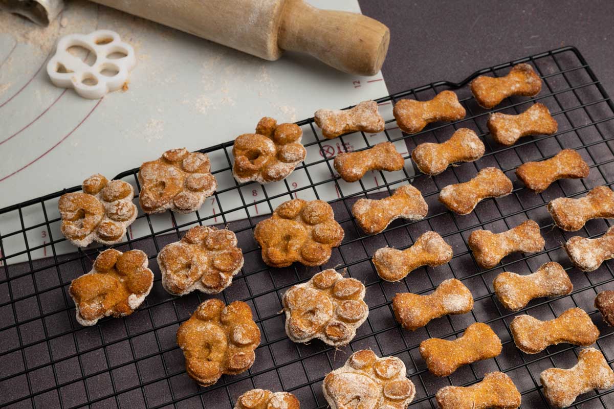 Domácí pamlsky pro psy a kočky. 6 jednoduchých receptů ze surovin které máte doma