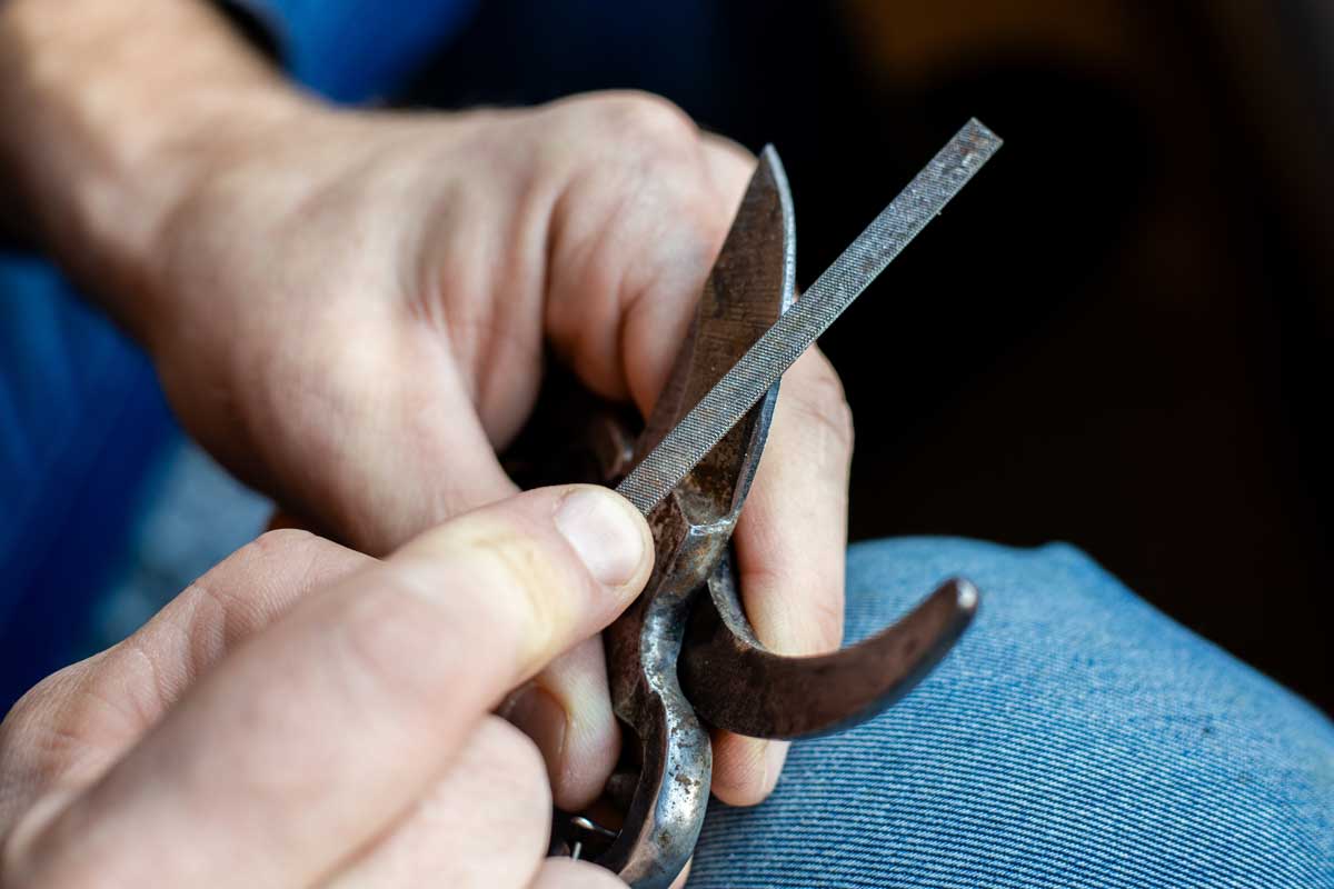pinlik na naradi Broušení zahradních nůžek pilníkem pro dlouhodobě ostré a funkční nářadí.