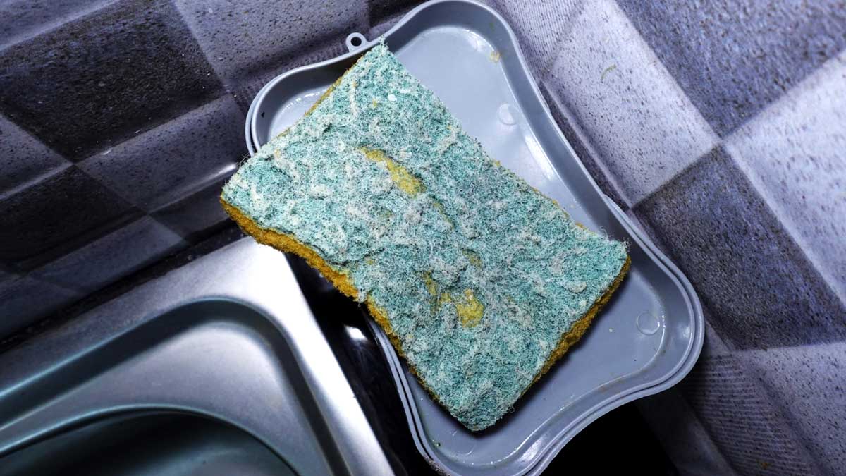 Použitá kuchyňská houbička představuje jedno z největších ložisek bakterií v domácnosti.