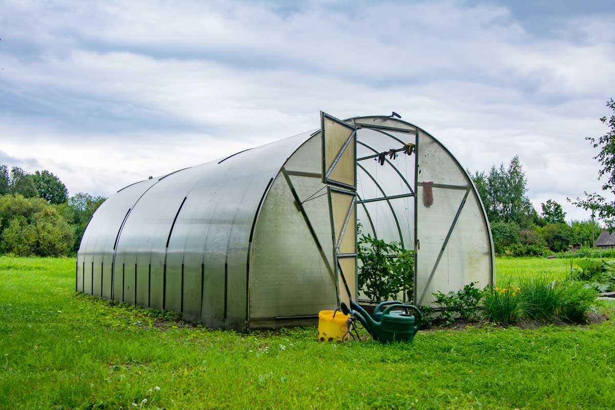 Skleník v březnu může rostliny zničit během pár hodin. A mráz za to často nemůže
