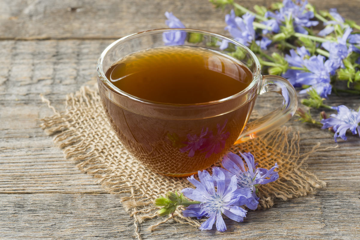 Skleněný šálek čekankového čaje stojí na rustikálním dřevěném stole vedle modrých květů čekanky.
