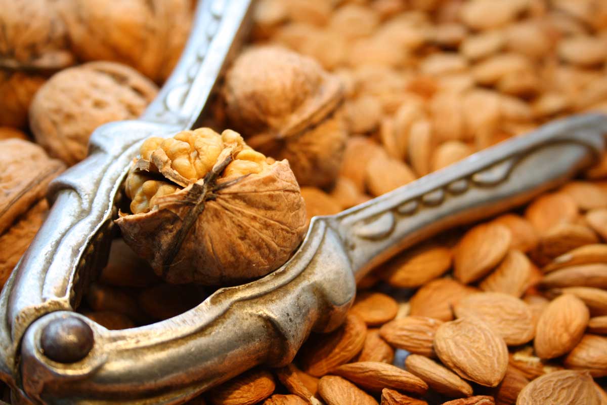 Louskání vlašských ořechů pomocí louskáčku ukazuje rozdílnou tvrdost skořápky.