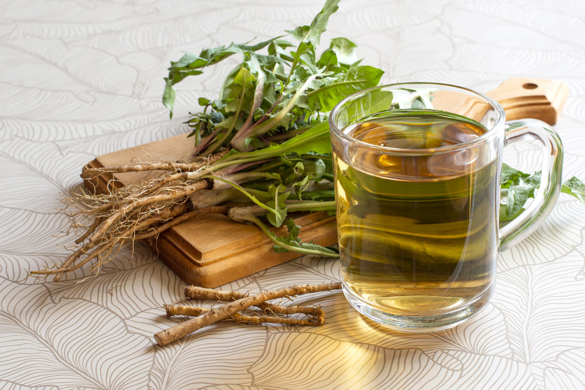 Sklenice pampeliškového čaje stojí vedle čerstvých listů a kořenů pampelišky na dřevěném prkénku.