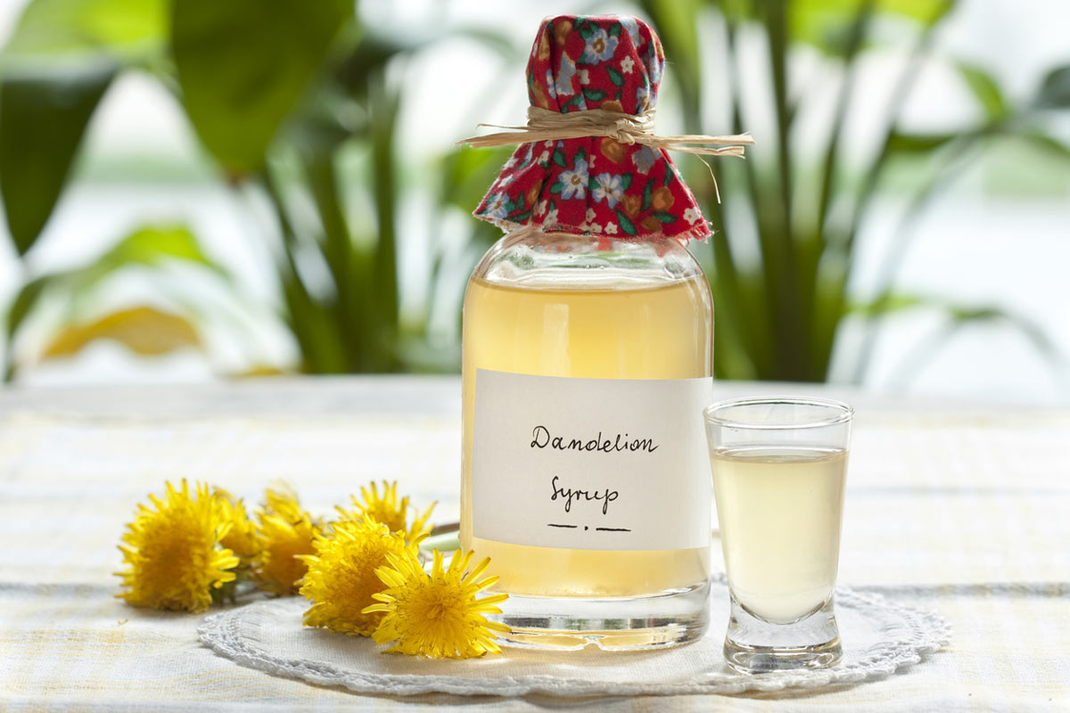 Domácí pampeliškový sirup ve sklenici doplněný čerstvými květy jako přírodní sladidlo do nápojů.