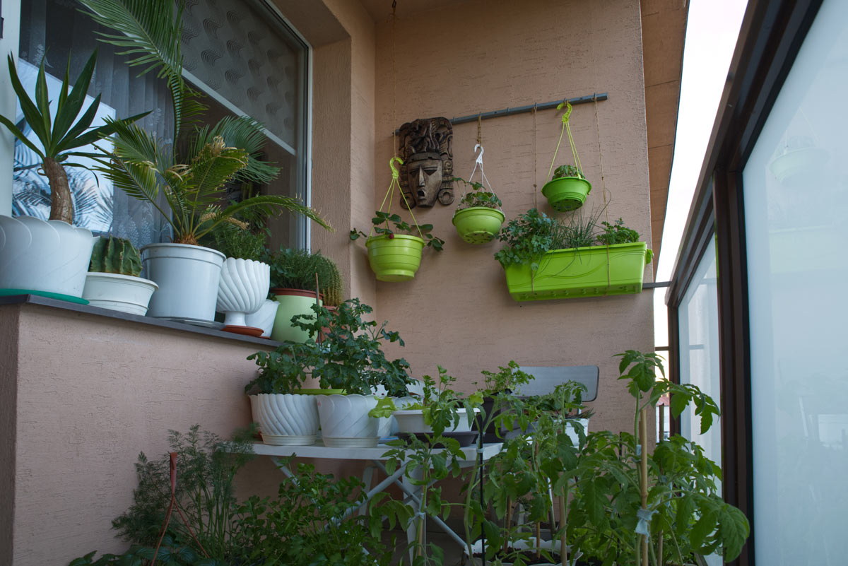 Balkon plný květináčů, truhlíků a bylinek využitý k pěstování rostlin v malém prostoru.