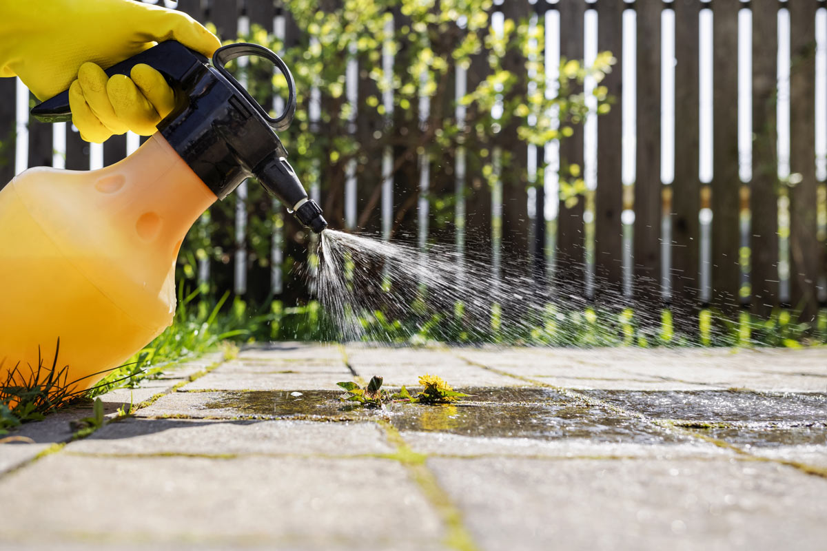 Postřik na plevel může pomoci ve spárách dlažby, ale je nutné dávat pozor na okolní trávník a rostliny.