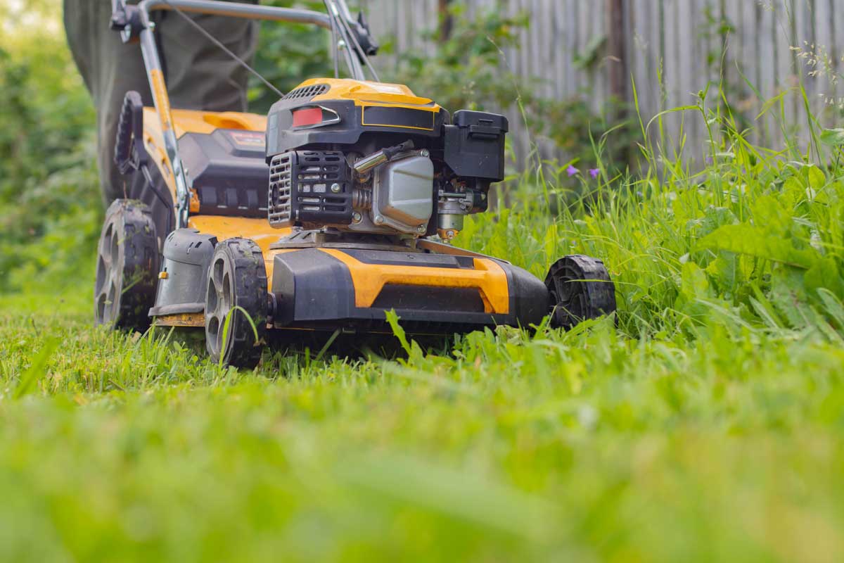 pravidla sekani travniku Sekání trávníku zahradní sekačkou při dodržení správné výšky střihu a základních pravidel péče.