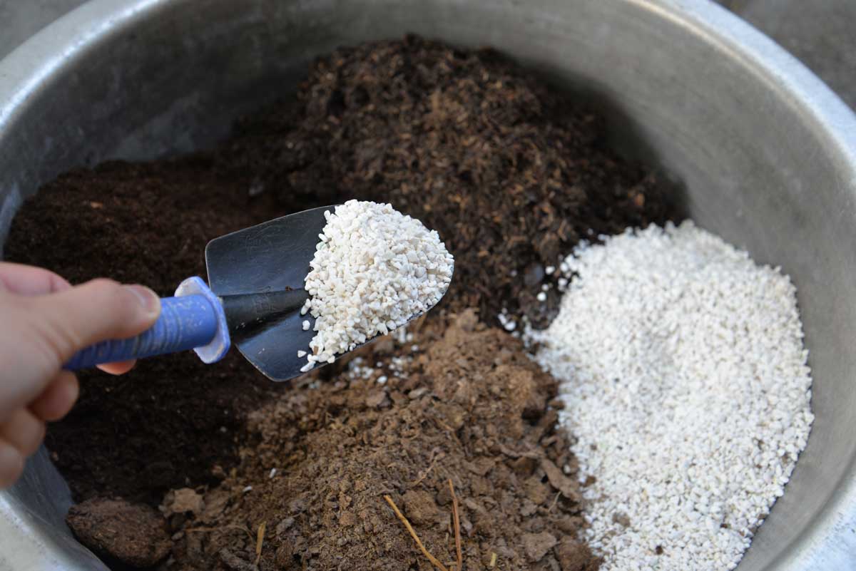 Přimíchání perlitu do substrátu zlepšuje jeho vzdušnost a pomáhá předcházet vzniku plísní.