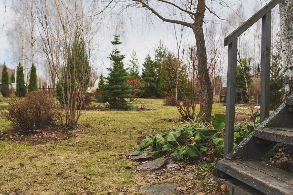 travnik v dubnu Slabý a prořídlý trávník na jaře po zimě který ještě není připraven na intenzivní sekání.