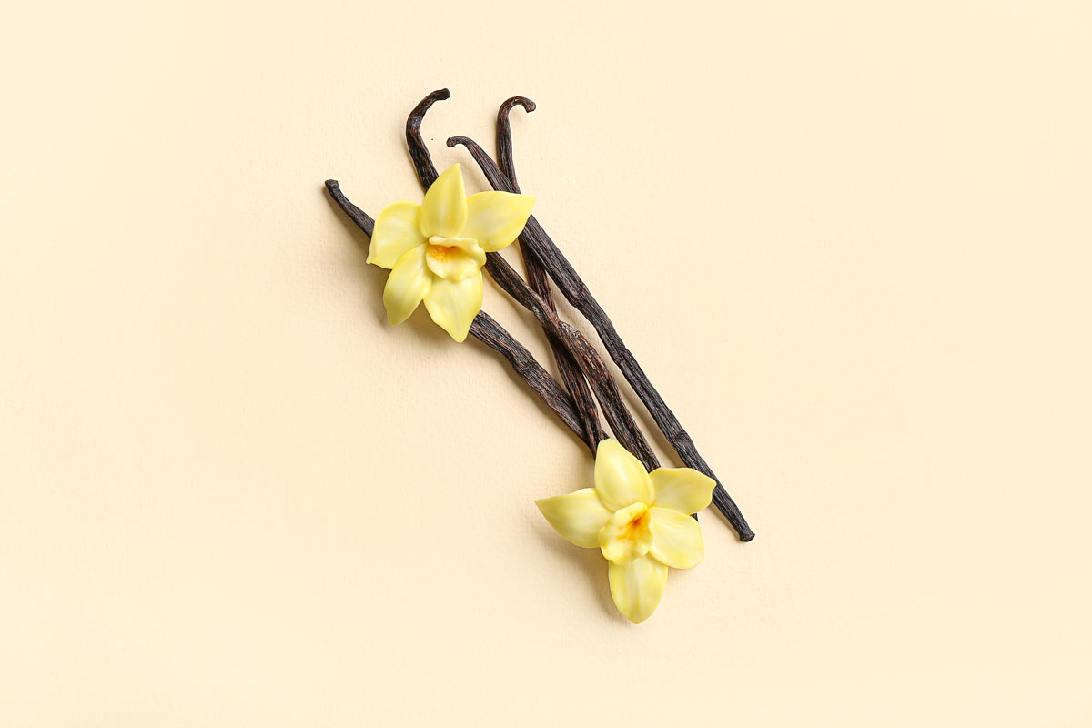 Pravý vanilkový lusk může svou intenzivní vůní pomoci odpudit rybenky z koupelny i dalších vlhkých míst.