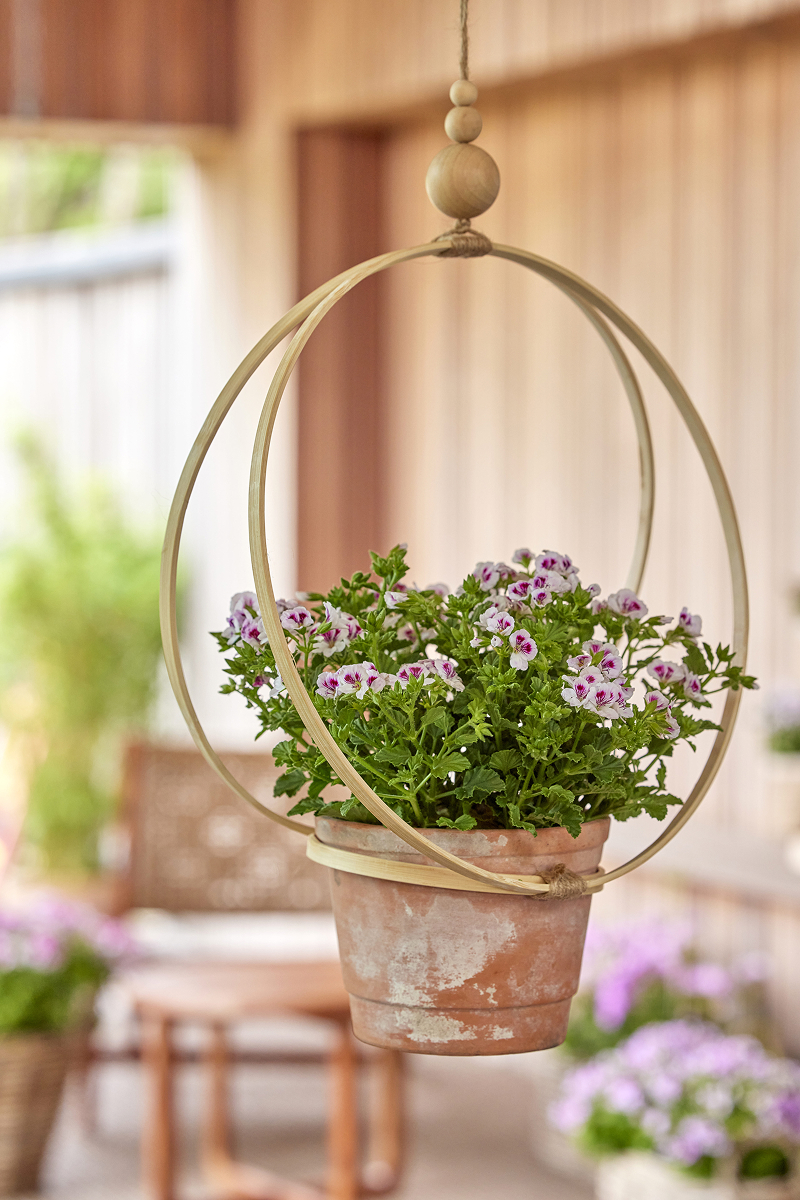 2025 Geraniums 1010 DIY Modern Rustic Hanging Flowerpot Hoop 07 1