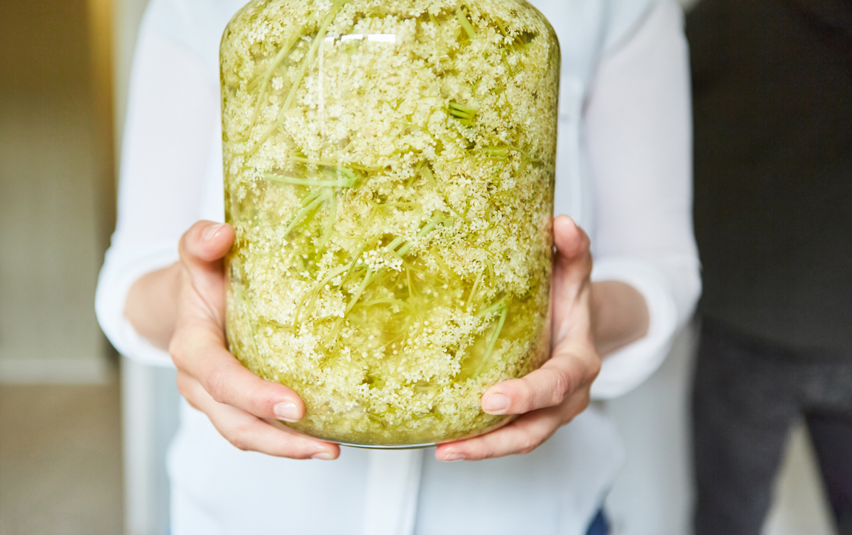 Sklenice s bezovými květy naloženými v octu, ze kterých během několika týdnů vznikne jemně aromatický bezový ocet.