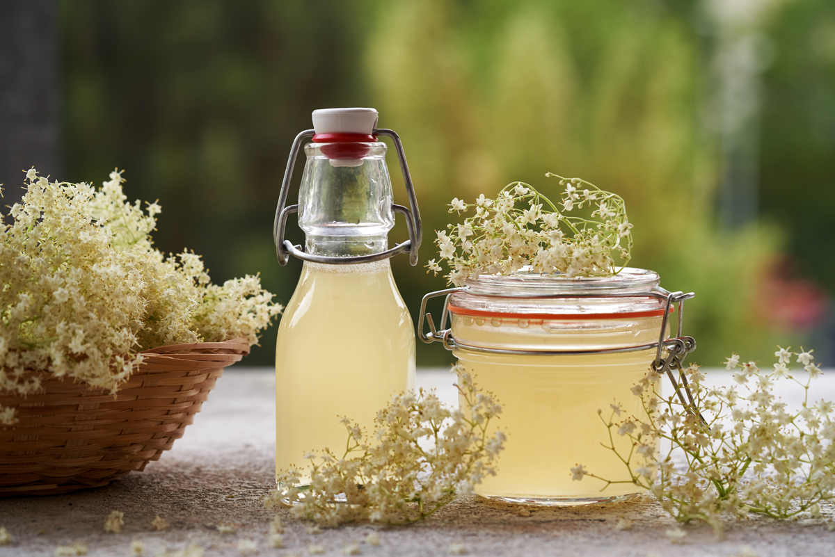Domácí bezový sirup ve skleněných lahvích obklopený čerstvými květy černého bezu.