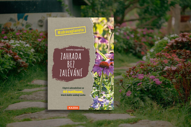 44 rostlin, které lépe zvládají sucho. Kniha Zahrada bez zalévání poradí, jak proměnit zahradu