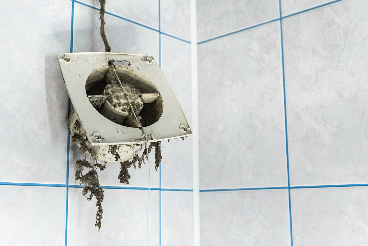 koupelnovy ventilator 1 Znečištěný koupelnový ventilátor s nánosy prachu a nečistot na lopatkách i kolem ventilačního otvoru.