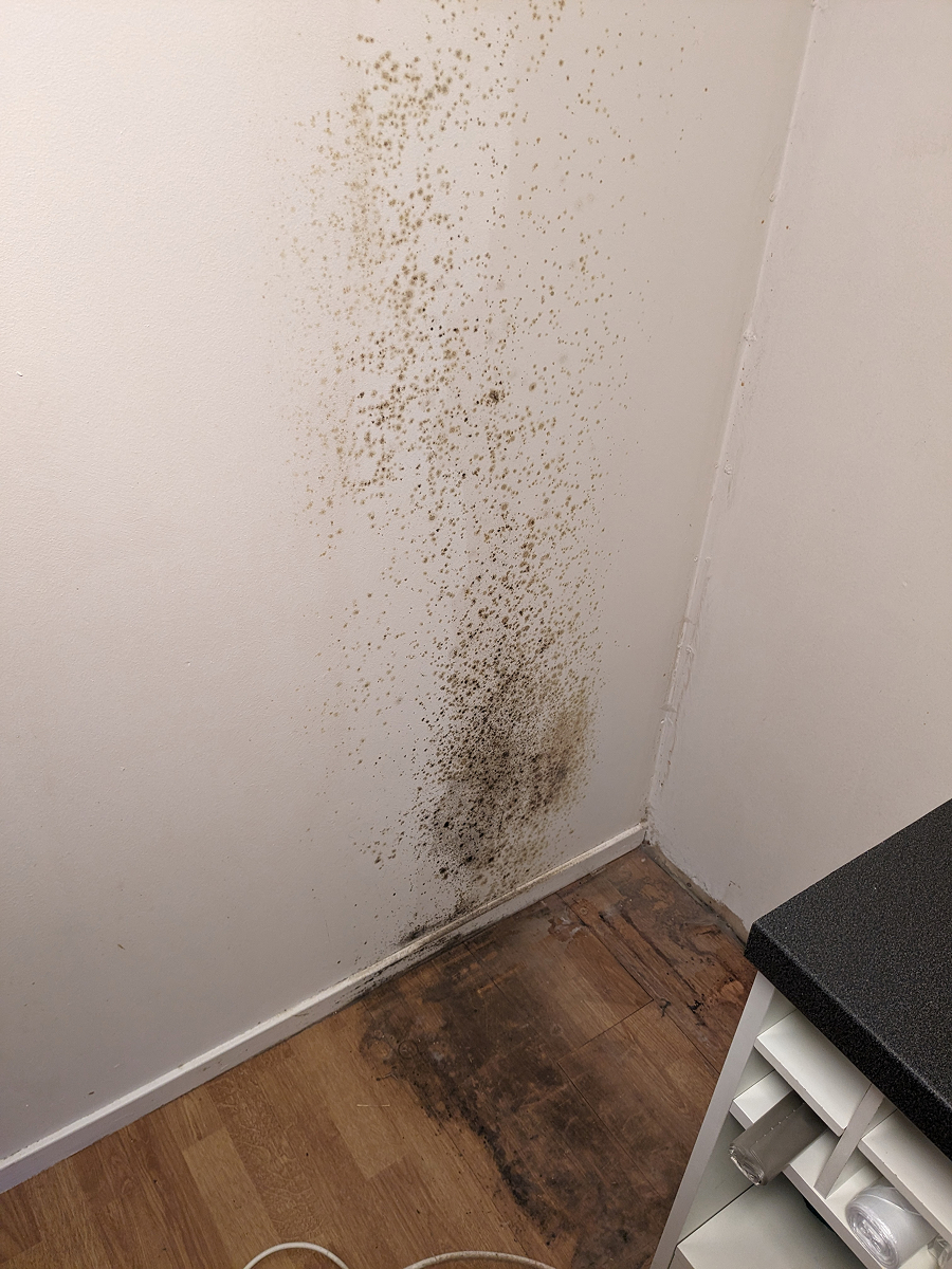 plisen za lednici 1 Rozsáhlé tmavé skvrny plísně na bílé stěně a poškozené dřevěné podlaze v rohu místnosti vedle nábytku.