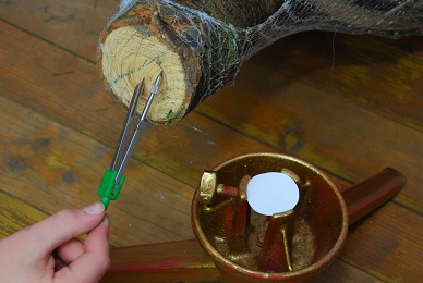 umístění stromku do stojanu 3