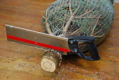 umístění stromku do stojanu 5