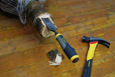 umístění stromku do stojanu 6