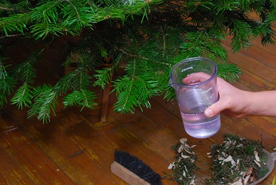 umstění stromku do stojanu 10