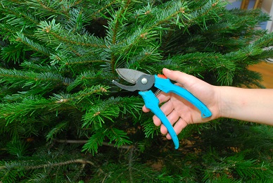 umístění stromku do stojanu 11