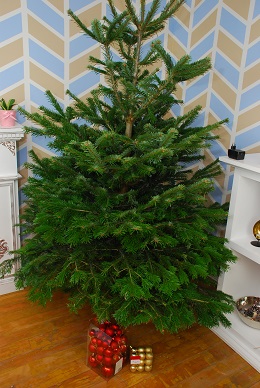 umístění stromku do stojnau_final