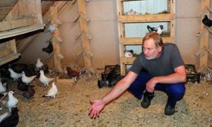 Jiří Štěpnička:  Relaxuju fyzickou prací