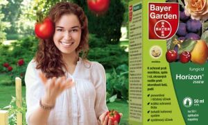 Přípravky firmy Bayer pomáhají pěstitelům