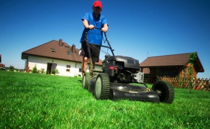 Zahradní sekačky: neotálejte s jejich přípravou na sezónu!