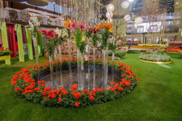 Letní FLORA OLOMOUC 2014:  Putování pouští, pralesem a zahradou