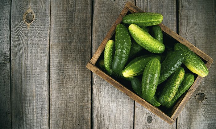S okurkami si v létě rozhodně neodpočinete