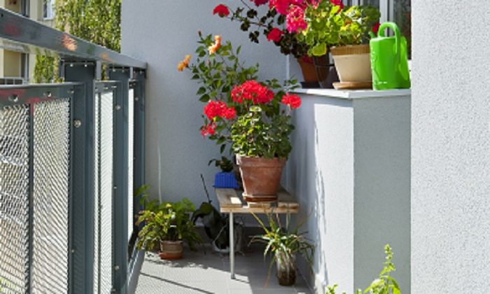 STARÝ BALKON S NOVOU DLAŽBOU